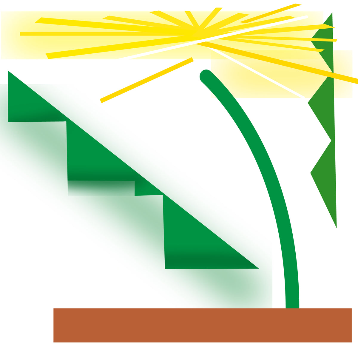 【カワシマナオト】plant / コレクション