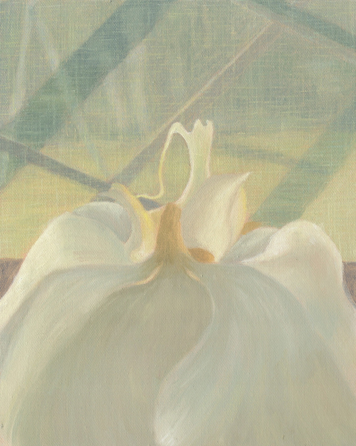 Moth Orchid — Otoha Takenami
